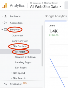 Google Analytics All Pages report